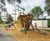 Santa Maria timber play ship 3