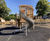 Creating a wild adventure themed accessible play area 3