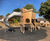 Creating a wild adventure themed accessible play area 0