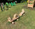 New adventure play area - Hinchingbrooke Country Park 2