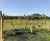 New adventure play area - Hinchingbrooke Country Park 11