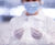 Single-use diaphragm valves for pharmaceutical processes 3