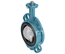GEMÜ R480 Victoria - bare shaft butterfly valve