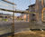Sliding glass doors for elliptical glass link building 2
