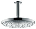 Raindance overhead plate showers