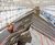 JB-RED roofing battens for Kings Cross Station 2