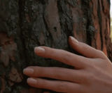 Sustainability post-COVID - building a better world - on this page
