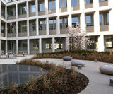 Polished concrete pebble seats for office landscaping - on this page
