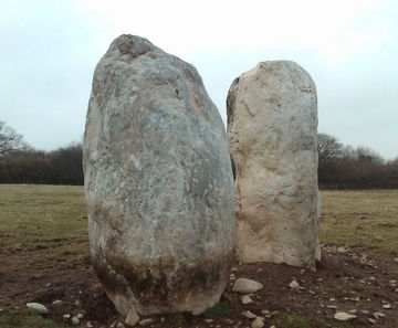 Feature boulders for commercial landscaping schemes