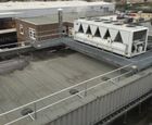 Roof safety solution for Twinings