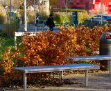 Tough steel furniture, Nottingham University   - on this page