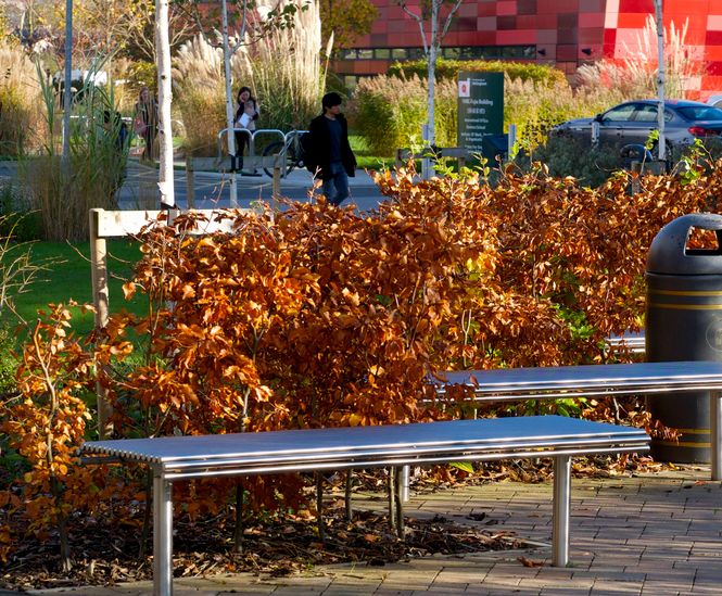 Tough steel furniture, Nottingham University  