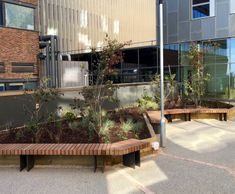 New iroko bench range for the Living Systems Institute