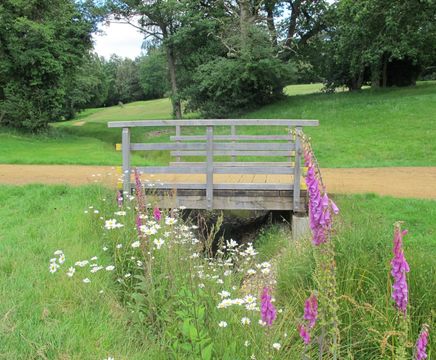 Timber bridges for golf courses