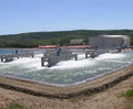Biological treatment systems