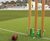 Match pitch and practice lanes at Lord's cricket ground 1