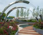 Shrubs and perennials – Positively Stoke-on-Trent garden