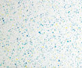 Ilumitex Multicolour Dry Flake System