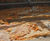 Greasebuster® - skimmer for fats, oils and grease in industrial wastewater 7