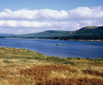 Envirosafe replaces old septic tank at holiday park