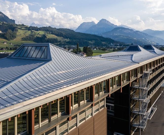 Zinc roof cladding for Japanese-inspired Swiss building