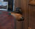 Door, switch and socket furniture for new home 9