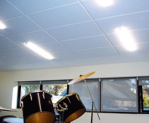 Echosorba® stick-on acoustic panels