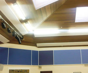 Echosorba® and Wallsorba® acoustic panels for school