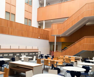 Woodsorba® wood-veneered acoustic panels