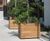 Grenadier FSC timber tree planter 2