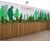 Diplomat rectangular timber planters 2