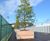 Mews budget FSC timber planters 8