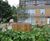 Diplomat tree planters in FSC hardwood and softwood 3