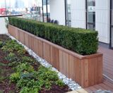 Diplomat FSC timber planters - on this page