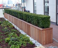 Diplomat FSC timber planters