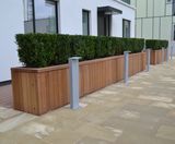 Diplomat rectangular timber planters - on this page