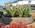 Castleton FSC timber & steel planter 7