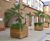 Grenadier FSC timber tree planter 0