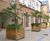 Grenadier FSC timber planter 4