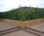 Diplomat timber roof terrace planter 1