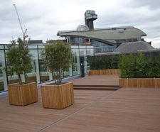 Diplomat planters for roof garden - The Foundry, London