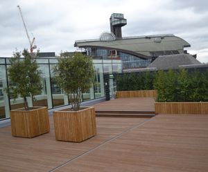 Diplomat planters for roof garden - The Foundry, London