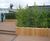 Diplomat FSC timber planters 7