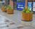 FSC timber planters for terraces and roof gardens 10