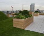 Planters for roof gardens