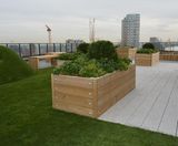 Planters for roof gardens - on this page