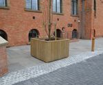 Diplomat tree planters in FSC hardwood and softwood