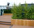 Diplomat rectangular timber planters 3