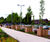 Diplomat tree planters in FSC hardwood and softwood 1