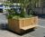 Diplomat FSC timber planters 4